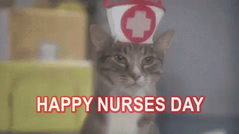 Happy Nurses Day Funny Animals GIF - Happy Nurses Day Nurses Day Happy Nurses GIFs