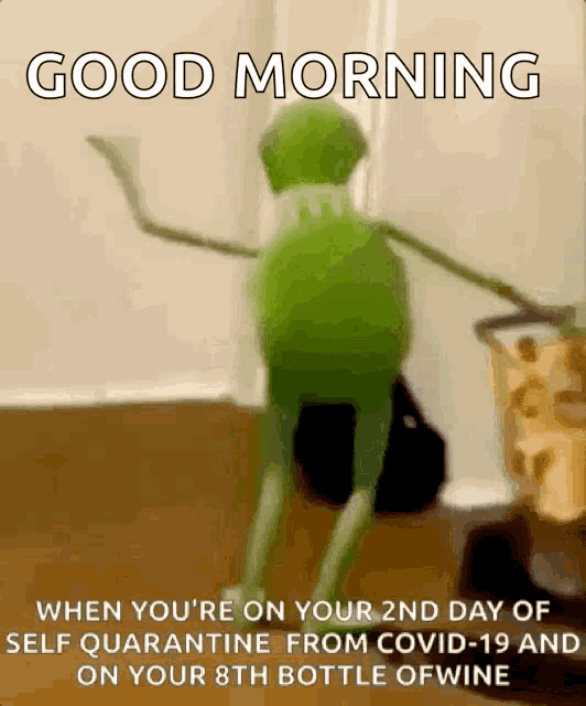 kermit the frog is dancing in a room with the words good morning when you 're on your 2nd day of self quarantine