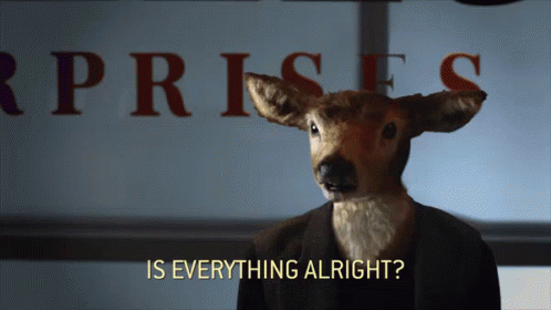 You Ok? GIF - Is Everything Alright Alright You Okay GIFs