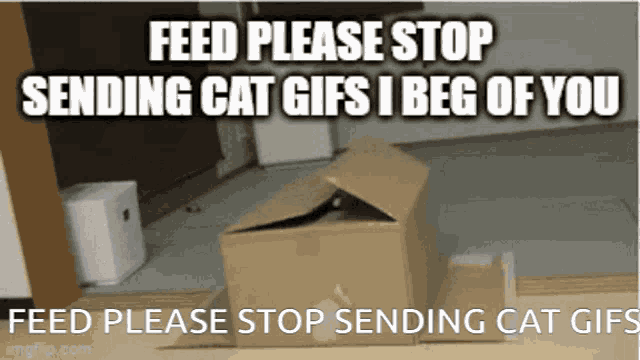 a cardboard box with the words feed please stop sending cat gifs i beg of you below it