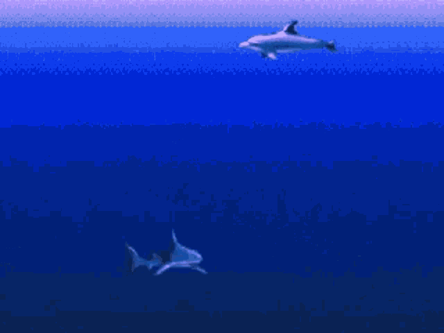 Vaporwave Dolphins GIF - Vaporwave Dolphins Swimming GIFs