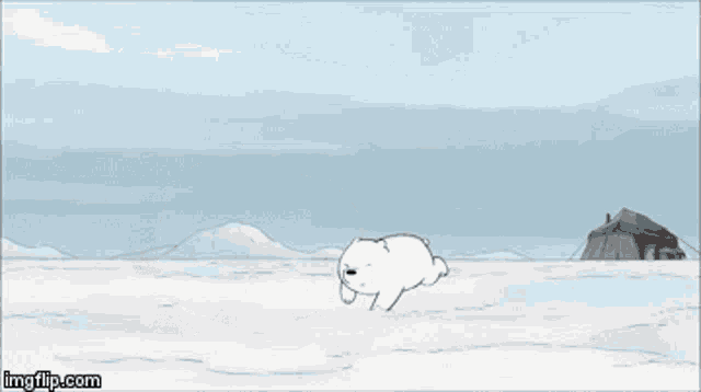 Ice Bear GIF - Ice Bear Polar GIFs