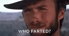 Clint Eastwood Staring GIF - Clint Eastwood Staring Cat GIFs