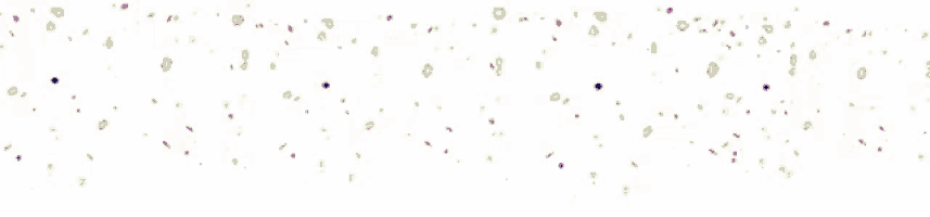 the word amrynis is surrounded by gold confetti on a white background