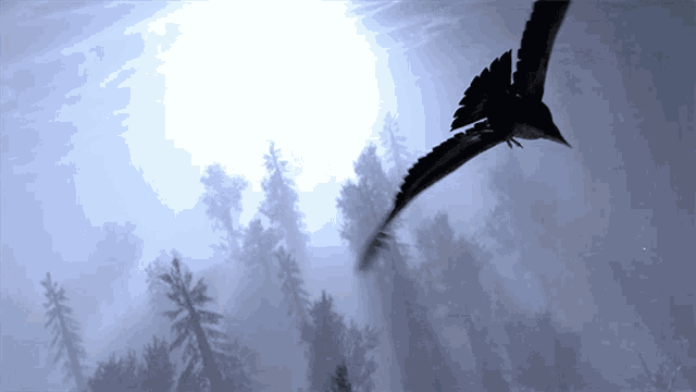 Flying Vulture Kodak Black GIF - Flying Vulture Kodak Black Vultures Cry2song GIFs