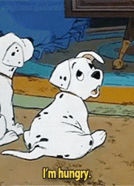 a dalmatian puppy says i 'm hungry