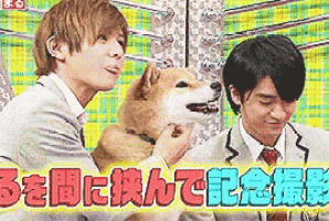 a man petting a dog next to another man with chinese writing
