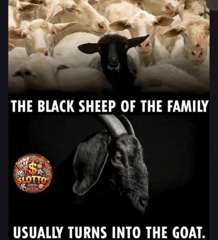 the black sheep of the family usually turns into the goat ..