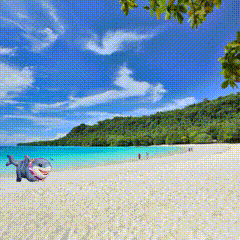 a stuffed shark is laying on the beach near the water