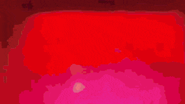 a close up of a person 's chest with a red background