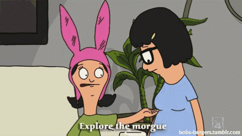 a cartoon of bobs burgers says explore the morgue on the bottom