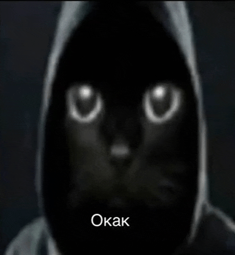 a close up of a black cat wearing a hood with the words okak in the corner