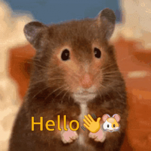 Hello Cute GIF - Hello Cute Rat GIFs