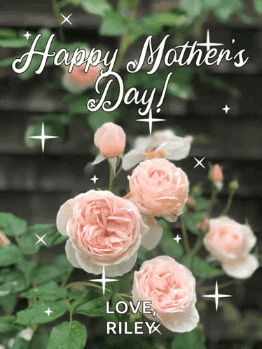 a mother 's day card with pink roses and the words happy mother 's day