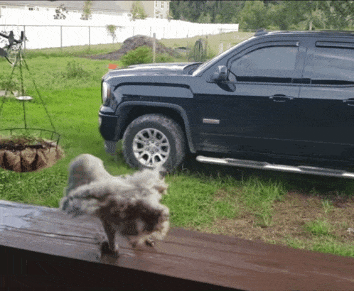 a black sierra truck is parked in a grassy yard