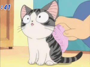 Chi Cat GIF - Chi Cat Scrub GIFs