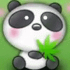 Panda Pandy GIF - Panda Pandy GIFs
