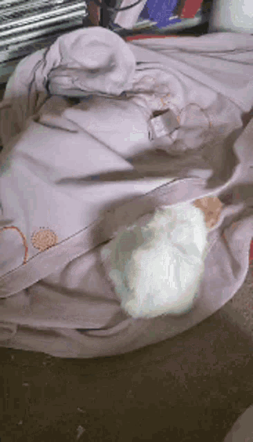 a cat is laying under a pink blanket