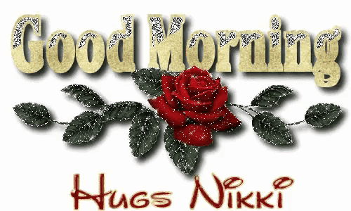 a good morning hugs nikki greeting card with a red rose