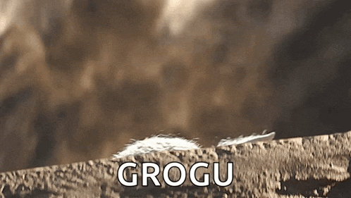 a close up of a feather with the word grogu in white letters