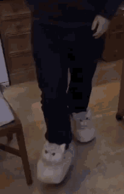 Cat Shoes GIF - Cat Shoes 졷냥이 GIFs
