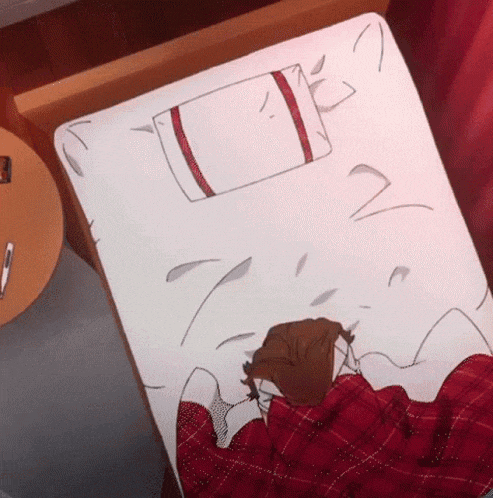 a person is laying on a bed with a red plaid blanket and a white pillow