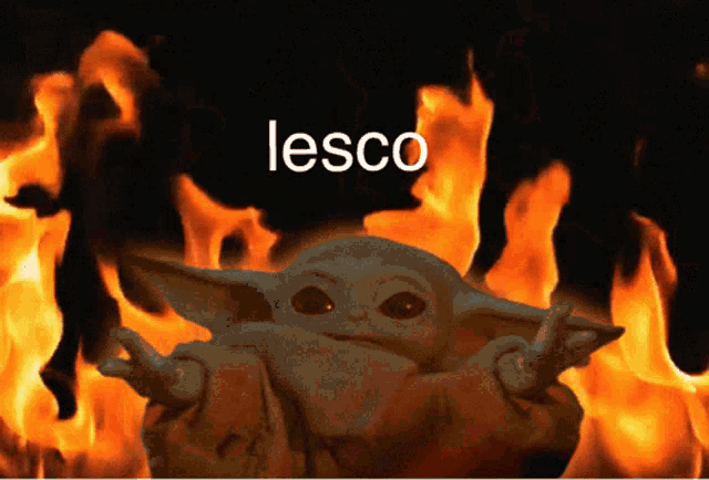 a picture of a baby yoda in front of a fire with the word lesco above him