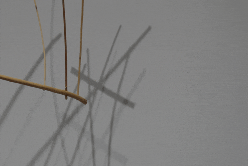 a bunch of sticks are hanging from a string on a wall