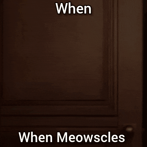 a cat is standing in a dark room with the words when meowscles written on the bottom .