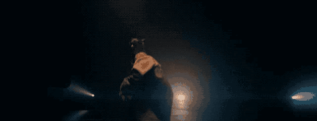 a person standing in a dark room with a spotlight on them