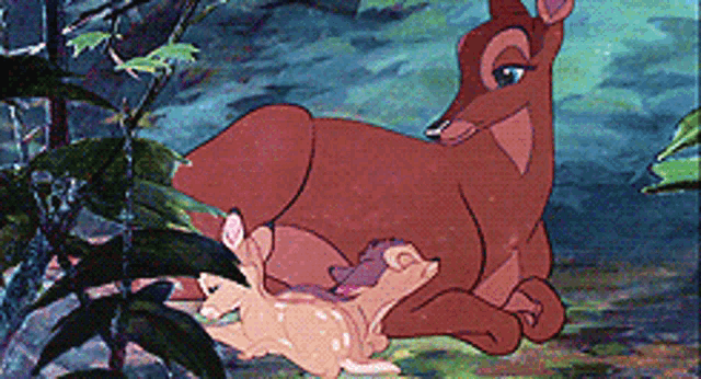Bambi GIF - Bambi GIFs