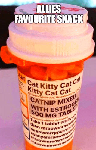 a bottle of cat kitty cat cat catnip mixed with estrogen 500 mg tablets