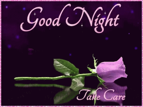 Good Night Take Care GIF - Good Night Take Care Purple Rose GIFs