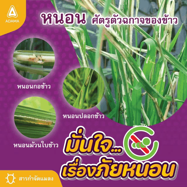 a poster in a foreign language shows a plant with a green circle with a red circle on it