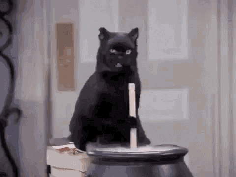 Cat Witch GIF - Cat Witch Evil GIFs