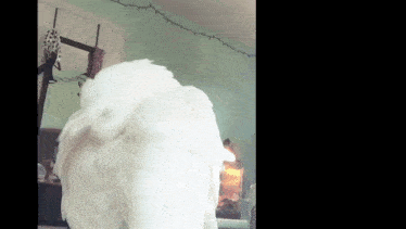 a white dog is standing in front of a mirror in a living room