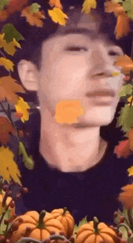 a close up of a man 's face with pumpkins and leaves around him .