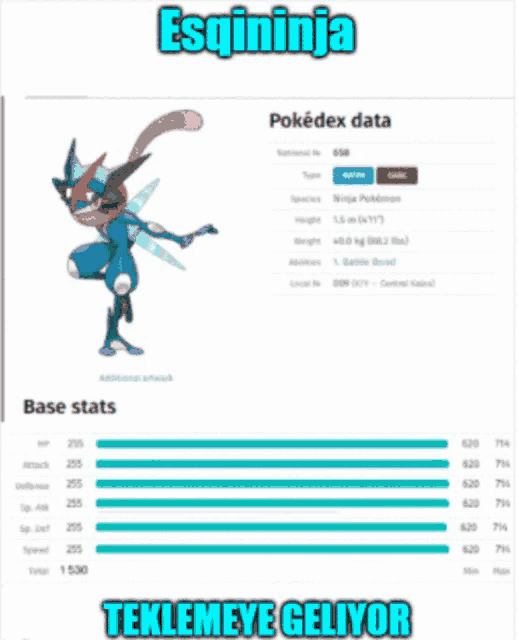 a picture of a pokemon with the name esqninja