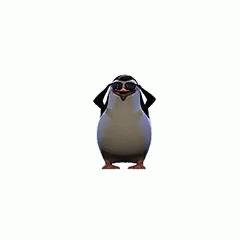 Deal With It Penguin GIF - Deal With It Penguin GIFs