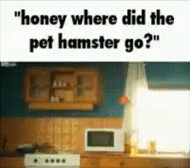 Hamster Explosion GIF - Hamster Explosion Rip GIFs