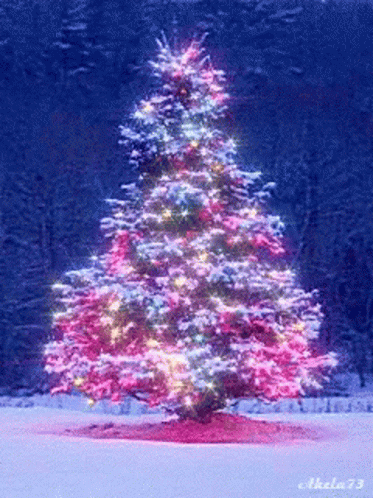 Christmas Tree Merry Christmas GIF