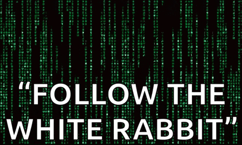 a poster that says follow the white rabbit on it