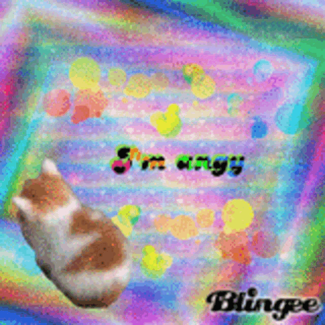 a picture of a cat with the words i 'm angry written on it