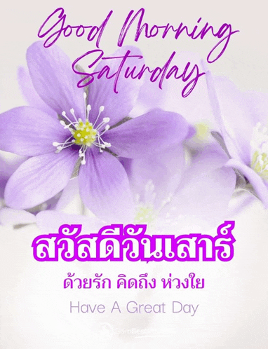 a purple flower with the words good morning saturday
