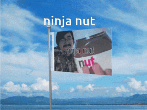 Ninjamuffin Fnf GIF - Ninjamuffin Fnf Friday Night Funkin GIFs