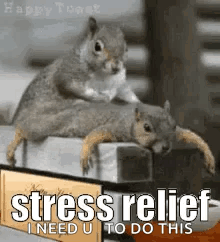 Stressrelief Relax GIF - Stressrelief Stress Relief GIFs