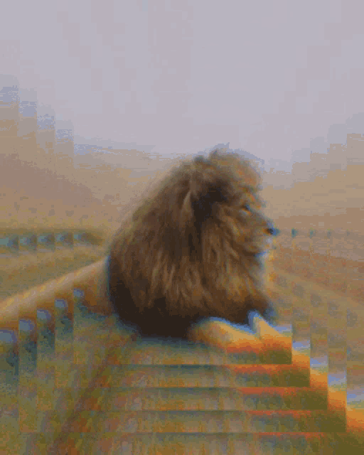 Mood Lion GIF - Mood Lion GIFs