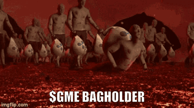 Gme Bagholder GIF - Gme Bagholder GIFs