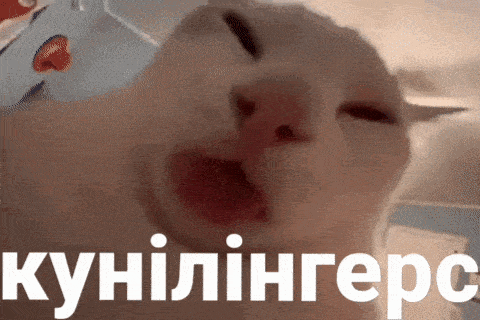 a close up of a cat 's face with a foreign language on the bottom