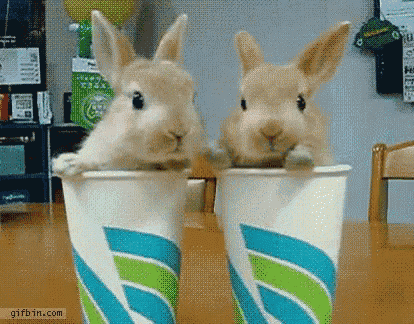 two rabbits are peeking out of a cup with the letter s on it